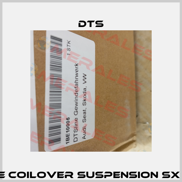 299100160/ DTSLINE COILOVER SUSPENSION SX GALVANIZED STEEL DTS